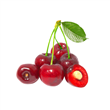 Cereza