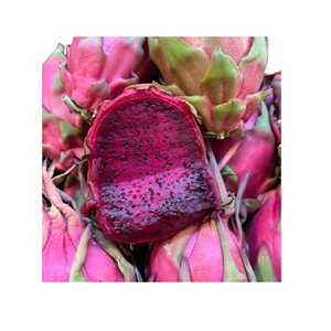 Pitahaya Rosa ( Dragon Fruit)